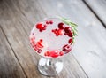 Tasty christmas cocktail with cranberry and foxberry