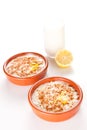 Tasty cinnamon rice pudding dessert Royalty Free Stock Photo