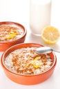 Tasty cinnamon rice pudding dessert Royalty Free Stock Photo