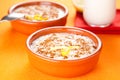 Tasty cinnamon rice pudding dessert Royalty Free Stock Photo