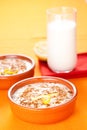 Tasty cinnamon rice pudding dessert Royalty Free Stock Photo