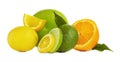 Tasty citrus fruits on white background Royalty Free Stock Photo