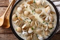 Tasty clams in a creamy sauce with garlic and greens close-up on Royalty Free Stock Photo