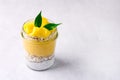 Tasty Coconut Mango Chia Seed Pudding Healthy or Diet Dessert Vegan Horizontal Copy Space Superfood Royalty Free Stock Photo