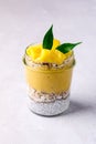 Tasty Coconut Mango Chia Seed Pudding Healthy or Diet Dessert Vegan Vertical Superfood Royalty Free Stock Photo