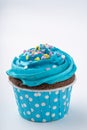 Tasty colorful cupcake isolated on white background. Royalty Free Stock Photo
