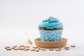 Tasty colorful cupcake isolated on white background. Royalty Free Stock Photo