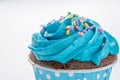 Tasty colorful cupcake isolated on white background. Royalty Free Stock Photo