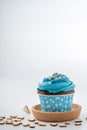 Tasty colorful cupcake isolated on white background. Royalty Free Stock Photo