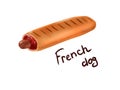 Tasty colorful fresh french dog