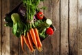 Tasty colorful fresh various seasonal vegetables in wooden box o Royalty Free Stock Photo