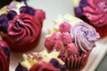 Tasty colorfull cupcakes with strawberries and cream. selective focus. cake with pink, yellow and violet cream