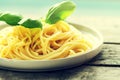 Tasty cooked colorful spaghetti pasta with fresh basil on plate Royalty Free Stock Photo