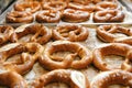 Tasty cooked pretzels on trays