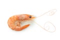Tasty cooked shrimp isolated on white background Royalty Free Stock Photo