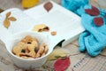 Tasty cookies in the white plate with the open book, colorful fall leaves and the blue yarn