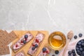 Tasty cracker sandwiches with cream cheese, blueberries, red currants, thyme and honey on light grey marble table, flat lay. Space