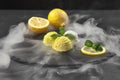 Tasty creamy and citrus lemon ice cream decorated with mint served on a stone slate over a black background. Royalty Free Stock Photo