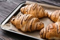 Tasty croissants with chocolate sauce on baking tray Royalty Free Stock Photo