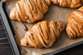 Tasty croissants with chocolate sauce on baking tray Royalty Free Stock Photo
