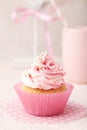 Tasty cupcake on the pink background