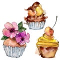 Tasty cupcake in a watercolor style. Background illustration set. Watercolour drawing fashion aquarelle isolated.