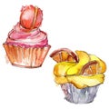 Tasty cupcake in a watercolor style. Background illustration set. Watercolour drawing fashion aquarelle isolated.