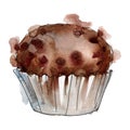 Tasty cupcake in a watercolor style. Background illustration set. Watercolour drawing fashion aquarelle isolated.