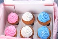 Tasty cupcakes in box. Mother's Day celebration Royalty Free Stock Photo