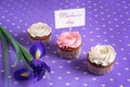 Tasty cupcakes, flower and topper pick with words MOTHER\'S DAY on color background Royalty Free Stock Photo