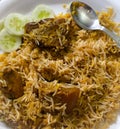 Tasty and delicious biriyani with chicken Royalty Free Stock Photo