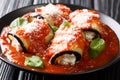 Tasty eggplant rolls stuffed with cheese and baked in tomato sauce close-up in a plate. horizontal Royalty Free Stock Photo