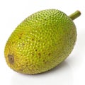 Tasty Breadfruit Royalty Free Stock Photo
