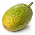 Tasty Breadfruit Royalty Free Stock Photo