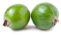 Tasty feijoa isolated on the white background Royalty Free Stock Photo