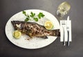 Tasty fish with lemon and white wine, Grilled fish dish