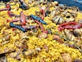 A tasty and flavour typical food dish called `paella`.