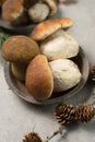 Tasty food - fresh porcini boletus oak muchrooms, high quality,