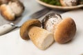 Tasty food - fresh porcini boletus oak muchrooms, high quality,