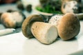 Tasty food - fresh porcini boletus oak muchrooms, high quality,