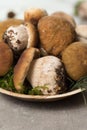 Tasty food - fresh porcini boletus oak muchrooms, high quality,