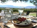 Tasty food: Lunch break in Argentina Vineyard