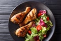 Tasty food: serving of grilled chicken drumsticks and fresh vegetable salad close-up. Horizontal top view Royalty Free Stock Photo