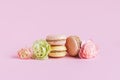 Tasty french macaroons with tender flower on a pink pastel background