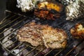 Tasty fresh appetizing meat beef on grill cooking on open fire o