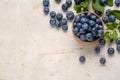 Tasty fresh blueberries and green leaves on light grey table, flat lay. Space for text Royalty Free Stock Photo