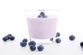 Tasty fresh blueberry yoghurt shake dessert