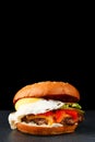 Tasty fresh burger with egg on dark isolated background. Homemade hamburger or burger with fresh vegetables and cheese Royalty Free Stock Photo