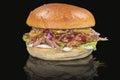 Tasty fresh burger with pork, onion, lettuce, and sauce