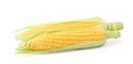 Tasty fresh corn cobs isolated on white Royalty Free Stock Photo